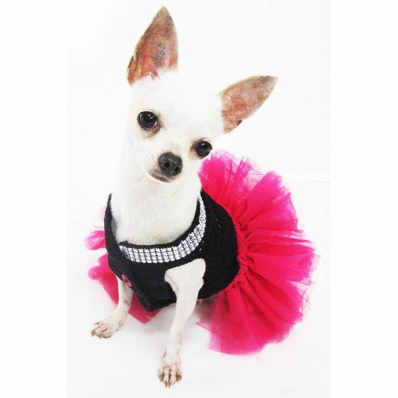 vocal profundidad en casa Ropa para perros chihuahua: lo mejor en glamour | Chihuahua